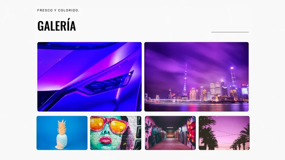 Portfolio